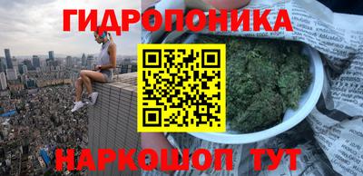 гидра Аша
