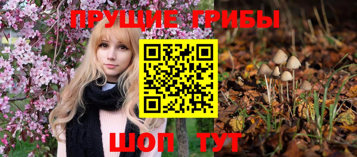 Галлюциногенные грибы Psilocybe  Вход с VPN  Ленинск-Кузнецкий  Галлюциногенные грибы Psilocybe 