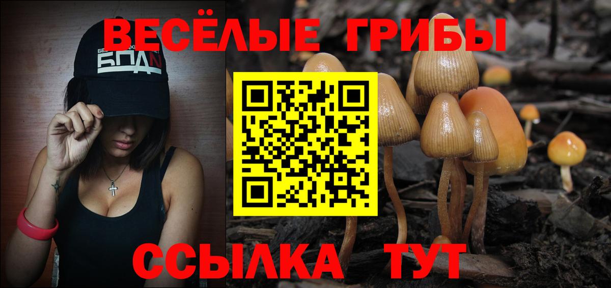 МЕФ   Бошки Шишки  Кокаин  Ленинск-Кузнецкий  Лсд 25  Вход с VPN  ГАШ 