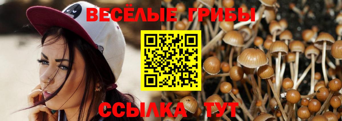Галлюциногенные грибы GOLDEN TEACHER Ленинск-Кузнецкий